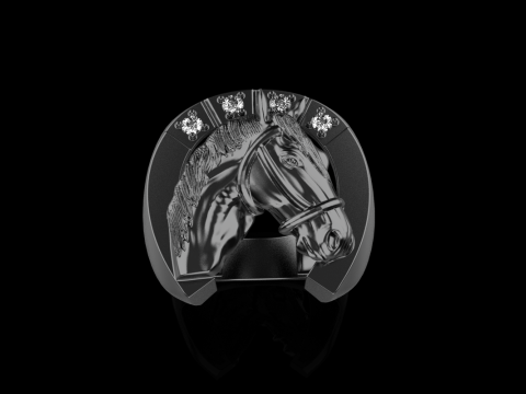 Horse ring model 1001 Modello di stampa 3D