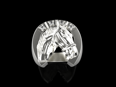 Horse ring model 1001 Modello di stampa 3D