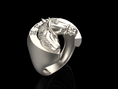 Horse ring model 1001 Modello di stampa 3D