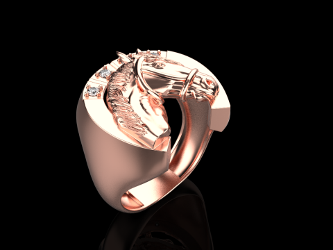 Horse ring model 1001 Modello di stampa 3D
