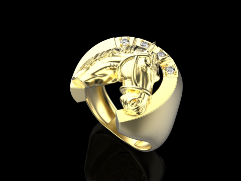 Horse ring model 1001 Modello di stampa 3D