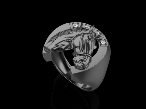 Horse ring model 1001 Modello di stampa 3D