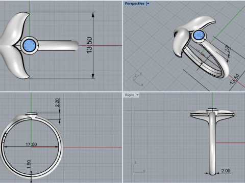 Whale tail ring model 982 3D Print Model