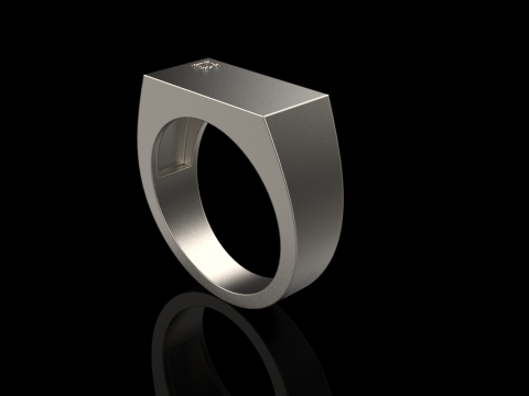 Signet ring with gem model 971 3D Принт Модель