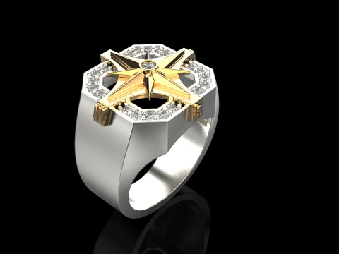 Anillo de sello con brújula modelo 972 Modelo de impresión 3D