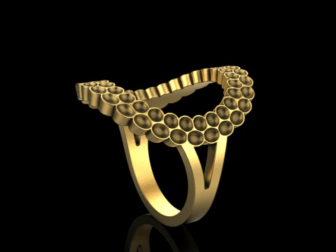 Cushion ring model 979 3D Print Model