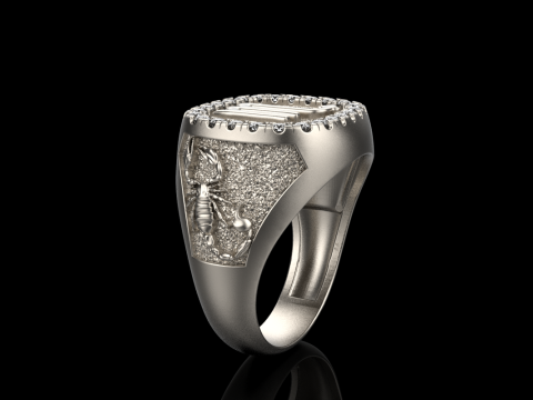Zodiac sign scorpion ring model 962 Modello di stampa 3D