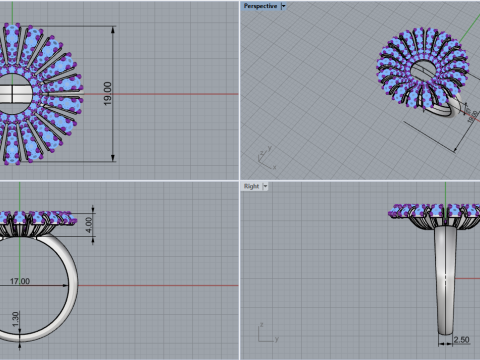 Palm ring model 939 3D Принт Модель