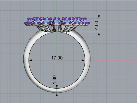 Palm ring model 939 3D Print Model