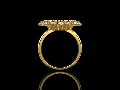 Palm ring model 939 3D Принт Модель