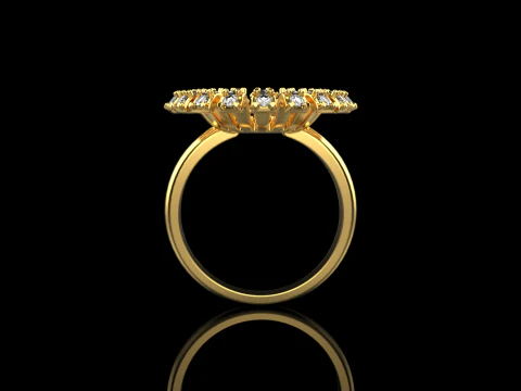 Palm ring model 939 3D Print Model