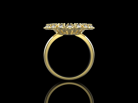Palm ring model 939 3D Принт Модель