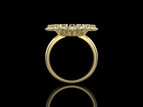 Palm ring model 939 3D Print Model
