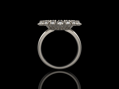 Palm ring model 939 3D Принт Модель