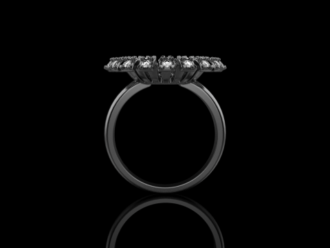 Palm ring model 939 3D Принт Модель