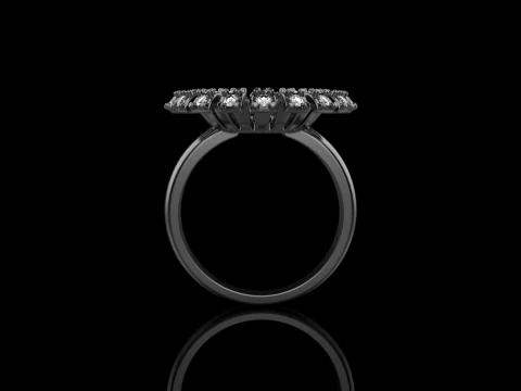 Palm ring model 939 3D Print Model