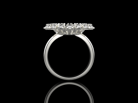 Palm ring model 939 3D Принт Модель