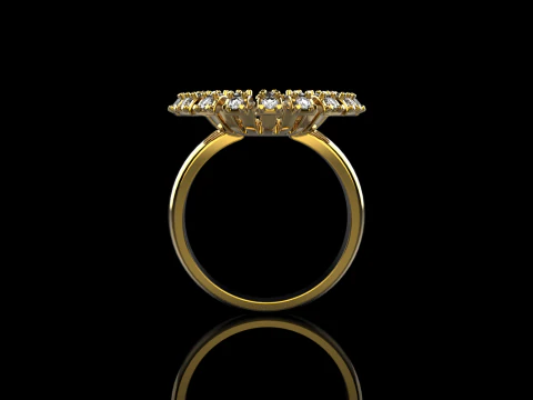 Palm ring model 939 3D Print Model