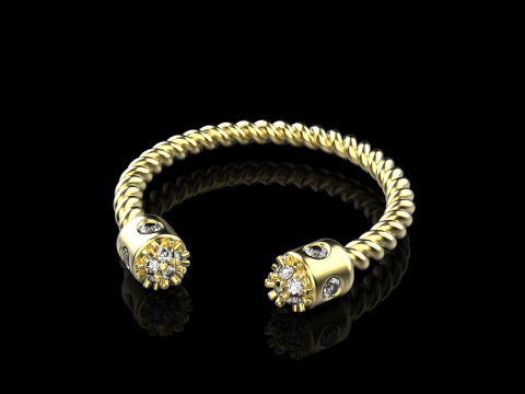 Ring model 874 3D 프린트 모델