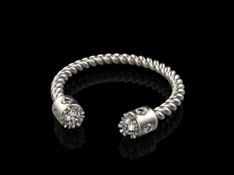 Ring model 874 3D 프린트 모델
