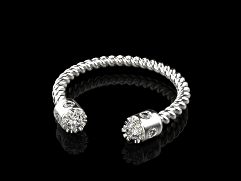 Ring model 874 3D 프린트 모델