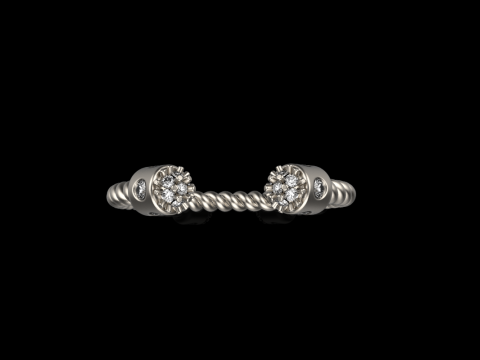 Ring model 874 3D 프린트 모델