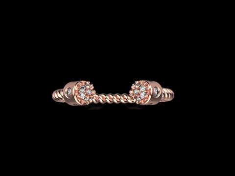 Ring model 874 3D 프린트 모델