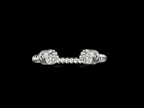 Ring model 874 3D 프린트 모델