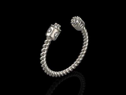 Ring model 874 3D 프린트 모델