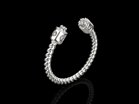 Ring model 874 3D 프린트 모델