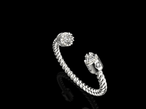 Ring model 874 3D 프린트 모델