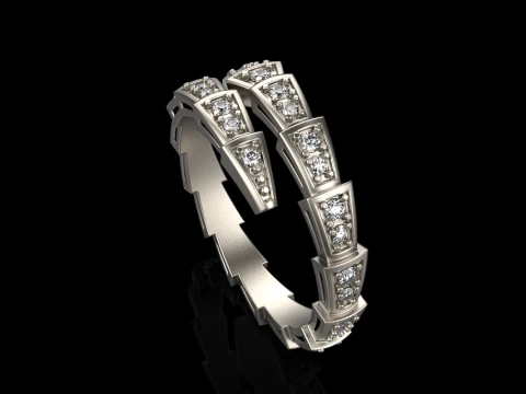 Wedding ring model 870 3D Print Model