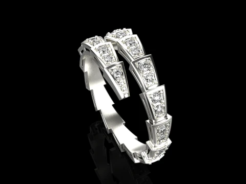 Wedding ring model 870 3D Print Model