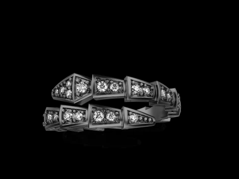 Wedding ring model 870 3D Print Model