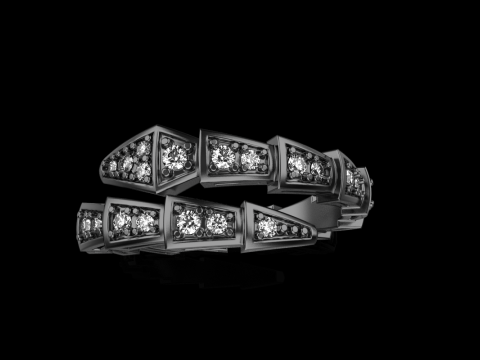 Snake ring model 868 3D Print Model