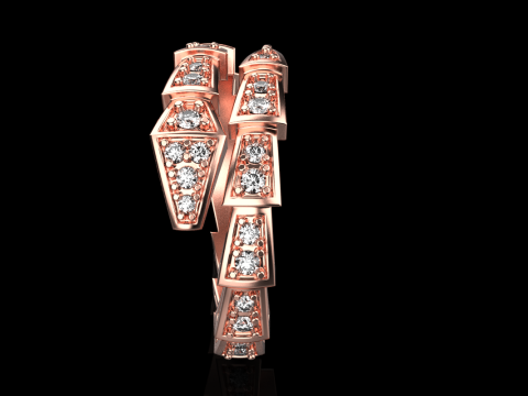 Snake ring model 868 3D Print Model