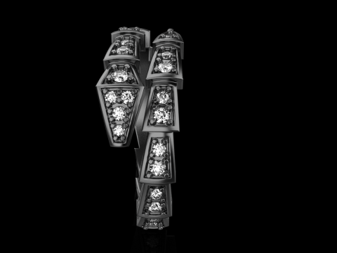 Snake ring model 868 3D Print Model