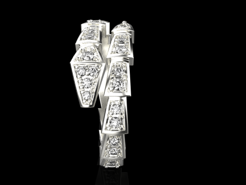 Snake ring model 868 3D Print Model