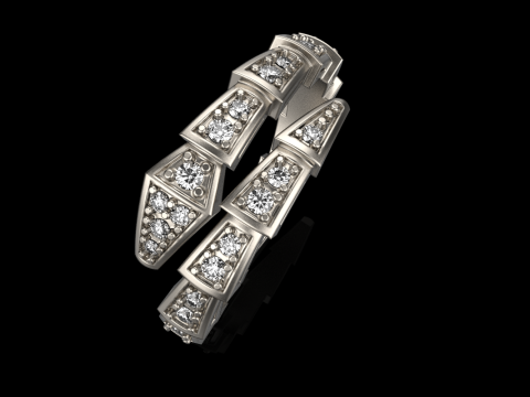 Snake ring model 868 3D Print Model
