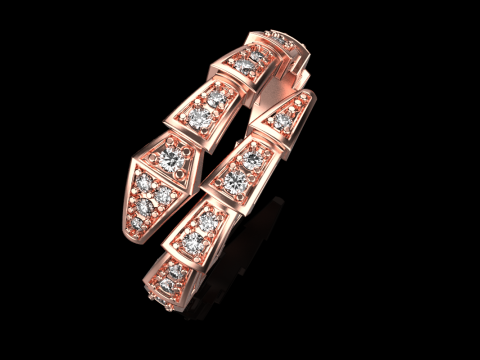 Snake ring model 868 3D Print Model