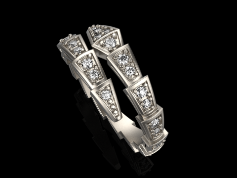 Snake ring model 868 3D Print Model
