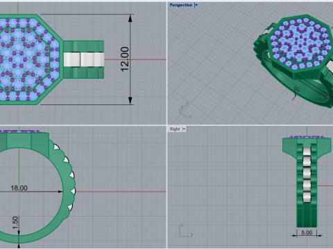 Signet ring model 867 3D Print Model