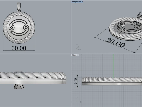 Zodiac sign Cancer pendant model 853 3D Print Model