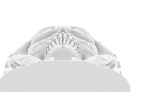 死亡吊坠型号 835 3D 打印模型