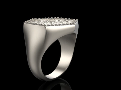 Moon texture signet ring model 834 3D Print Model