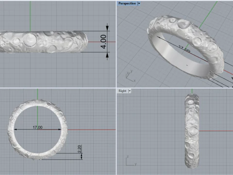 Moon ring model 832 3D Print Model
