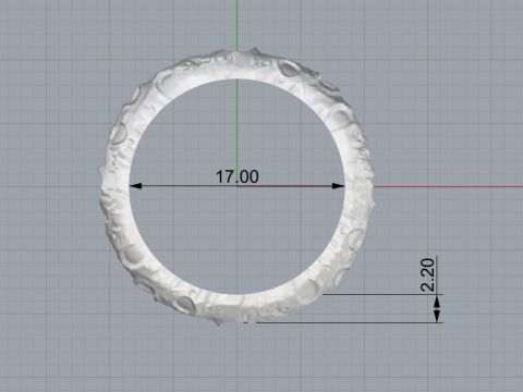 Moon ring model 832 3D 打印模型