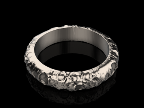 Moon ring model 832 3D 打印模型