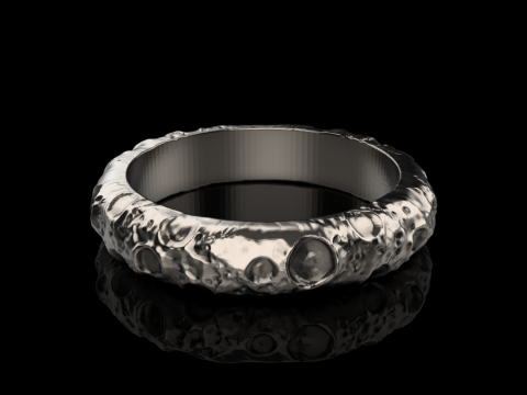 Moon ring model 832 3D 打印模型
