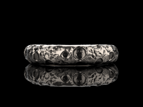Moon ring model 832 3D 打印模型